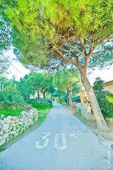 Hotel Hoteliere La Pinede Bleue Hyeres