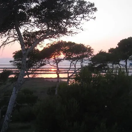 Hoteliere La Pinede Bleue Hyeres